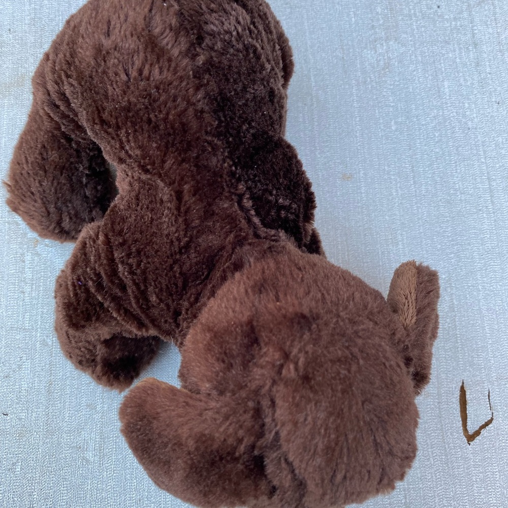 Chocolate lab Webkinz, no code - Picture 2 of 3